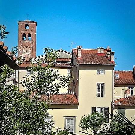 La Butterfly Guest Apartment Lucca Exterior foto